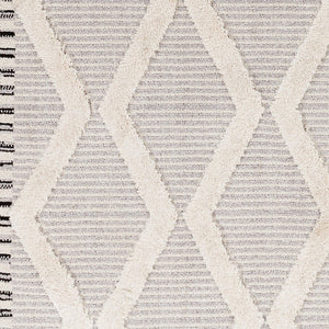 Livabliss Azilal Bohemian Global Runner Rug Plush High Pile Polyester Fringe Hallway Accent AZI2317-2773
