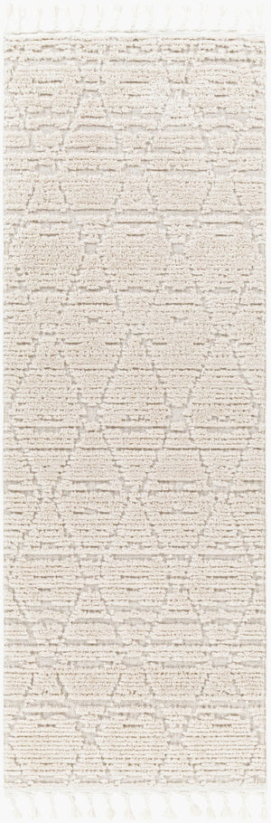 Livabliss Azilal Bohemian Global Runner Rug High Pile Polyester Fringe Hallway Accent AZI2318-2773