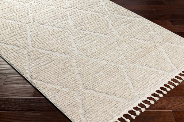 Livabliss Azilal Bohemian Global Runner Rug High Pile Polyester Fringe Hallway Accent AZI2318-2773