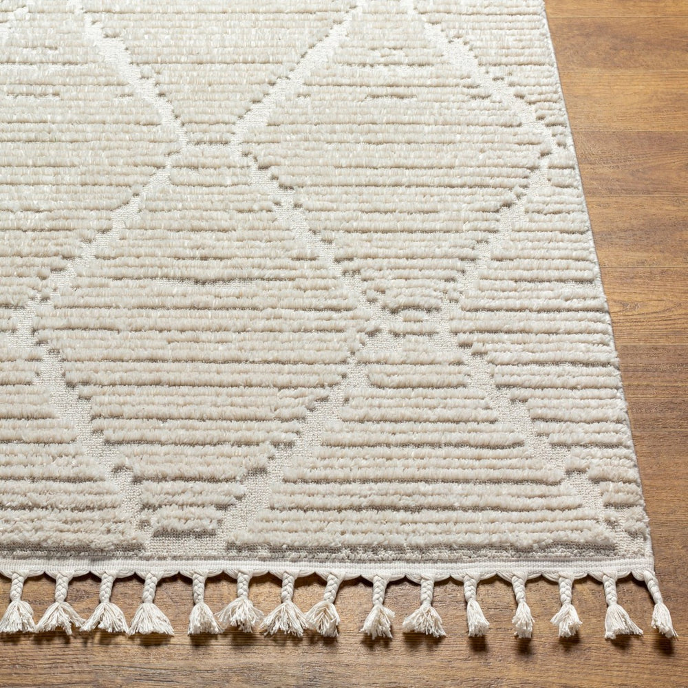 Livabliss Azilal Bohemian Global Runner Rug High Pile Polyester Fringe Hallway Accent AZI2318-2773