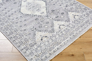 Livabliss Azhar Traditional Medallion Area Rug with Fringe Polyester Woven Living Room Accent Pewter, Ivory 7'10" x 10' AZR2300-71010