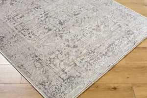 Livabliss Azhar Traditional Egyptian Woven Polyester Area Rug with Fringe for Living Room Pewter, Dove Gr 5'3" x 7' AZR2302-537