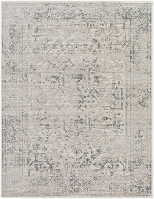 Livabliss Azhar Traditional Egyptian Woven Polyester Area Rug with Fringe for Living Room Pewter, Dove Gr 5'3" x 7' AZR2302-537