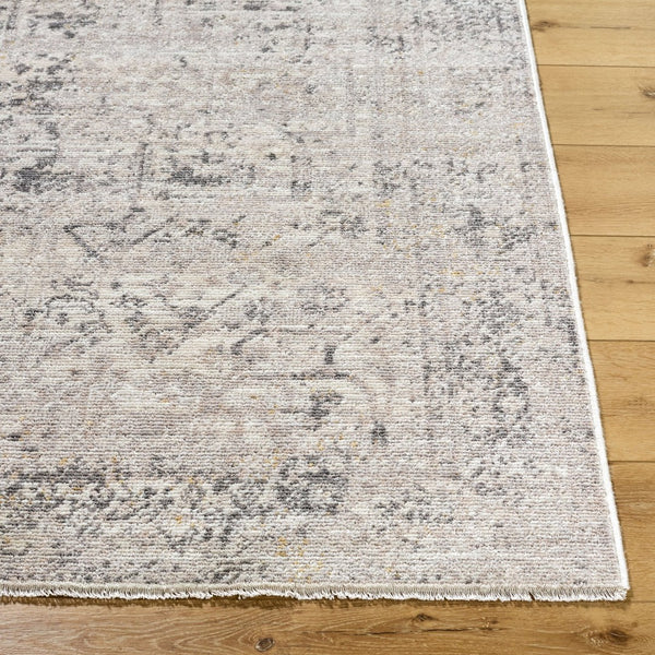 Livabliss Azhar Traditional Egyptian Woven Polyester Area Rug with Fringe for Living Room Pewter, Dove Gr 5'3" x 7' AZR2302-537