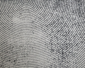 Sunpan Opposites Attract Wall Art Set - Luxe 3D Textured Canvas Diptych with Charcoal Wood Frame, 40"x60"