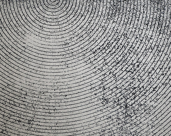 Sunpan Opposites Attract Wall Art Set - Luxe 3D Textured Canvas Diptych with Charcoal Wood Frame, 40"x60"