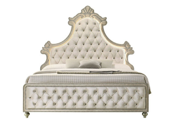 English Elm Lucienne Velvet Queen Bed with LED Headboard, Diamond-Tufted Design, Nailhead Trim Elegance Beige 88 L x 13 W x 5 H B2726S00131