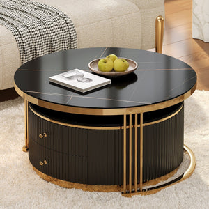 English Elm Modern Round Nesting Coffee Table Set with Gold Pedestal Legs and Storage Drawers Black N735P349323B