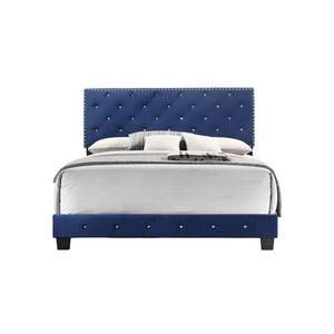 English Elm Noble Velvet Navy Queen Bed | Transitional 48"H x 64"W x 83"D Durable Support, Luxurious Deep Blue Finish B078108020