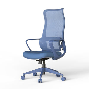 English Elm Ergonomic High Back Mesh Office Chair with Adjustable Lumbar Support and Molded Foam Seat Blue W5280P463575