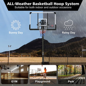 English Elm Double Fish Portable Basketball Hoop 44 Inch Backboard Adjustable Height with Wheeled Base W3087P251062
