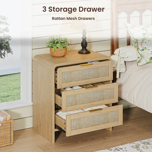 English Elm Rattan Drawer Nightstand Set with Built-in Charging Station and Open Shelf Bedroom Storage Oak W1820P416766