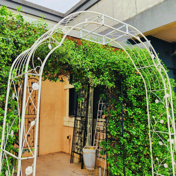 English Elm Metal Garden Arch Powder Coated Steel Trellis for Climbing Roses Outdoor Weddings Cream White W1586P268771