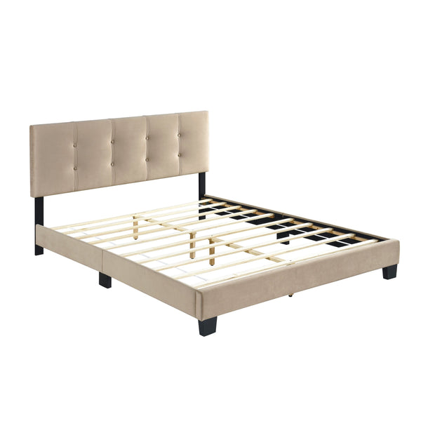 English Elm 1pc Queen Platform Bed Brown Velvet Upholstered with Button Tufted Adjustable Headboard, Low-Profile Solid Wood Frame 42" H Light Brown 65.5 L x 26 W x 5 H B011P203573