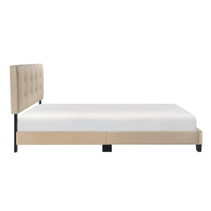English Elm 1pc Queen Platform Bed Brown Velvet Upholstered with Button Tufted Adjustable Headboard, Low-Profile Solid Wood Frame 42" H Light Brown 65.5 L x 26 W x 5 H B011P203573