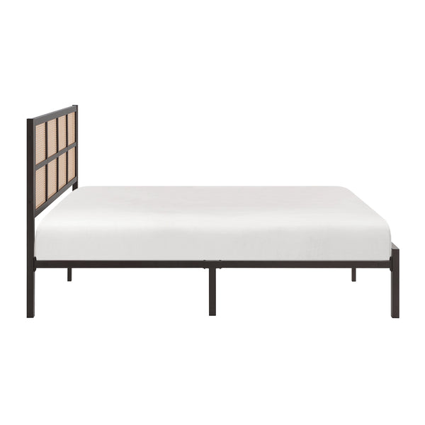 English Elm 1pc Queen Platform Bed Sanibel Metal Frame with Faux Cane Headboard Dark Finish Coastal Chic Design Bronze 66 L x 25 W x 3.75 H B011P214030