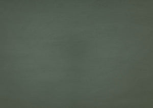 English Elm Modern Two-Tone Side Chairs Set of 2 Graywash Seat with Black Wood X-Back Farmhouse Dining Seating Teal 42 L x 20.5 W x 10.5 H B011P401430