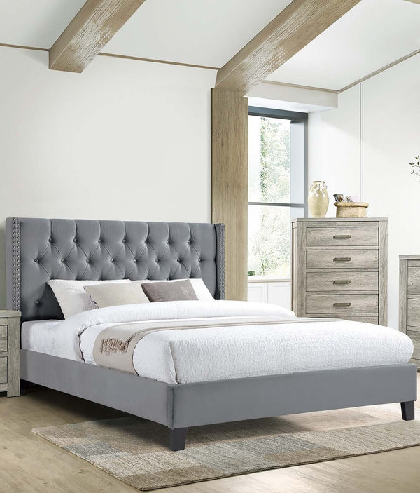 English Elm Queen Velvet Upholstered Bed Diamond Tufted Headboard Nailhead Trim Glam Bedroom B011S02057