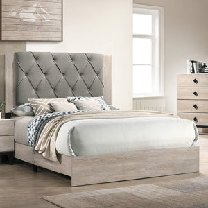 English Elm Contemporary California King Bed Frame With Cream Finish & Gray Tufted Headboard – Modern Design B011P236791