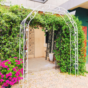 English Elm Metal Garden Arch Powder Coated Steel Trellis for Climbing Roses Outdoor Weddings Cream White W1586P268771