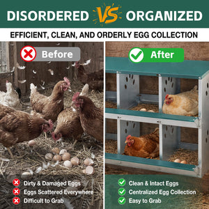 English Elm Chicken Nesting Box 6 Compartment Galvanized Steel Wall Mount Coop Egg Collector W1422P246452