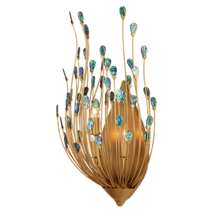 Delphos Teardrop Wall Sconce - Nature-Inspired Gold Fixture with Iridescent New Zealand Paua Shells