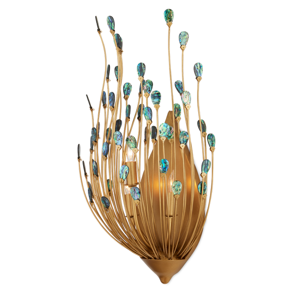 Delphos Teardrop Wall Sconce - Nature-Inspired Gold Fixture with Iridescent New Zealand Paua Shells