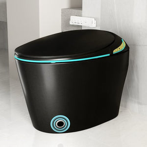 English Elm Unique Smart Toilet with Built in Bidet Auto Lid Foot Sensor and Warm Air Dryer W3133P384976