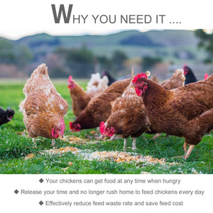 English Elm Pawhut 25 Lbs Automatic Poultry Feeder - Durable Weatherproof Galvanized Steel For Easy Chicken Care W2225P217610-GIGA