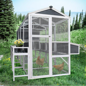 English Elm Chicken Coop Walk-in Cedar Structure with Nesting Boxes for Backyard Flocks W1850S00009