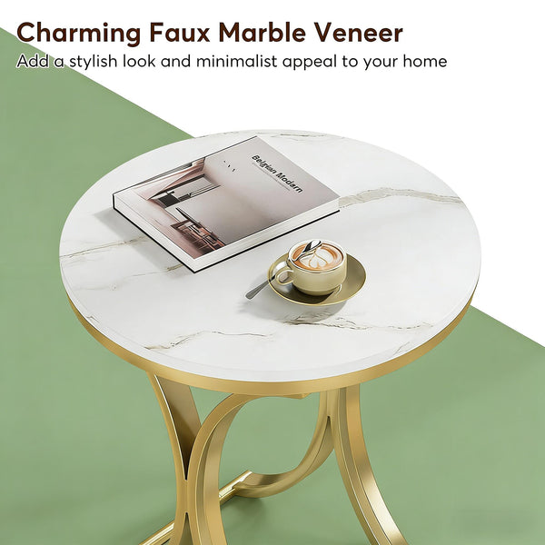 English Elm Chic Two-tier Round End Table with Metal Frame and Open Shelf for Living Room T3971P449094