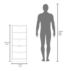English Elm Basilea Slim Tall Dresser with Smooth Pull-Out System, 5 Spacious Drawers in Natural Oak Finish B200P335295