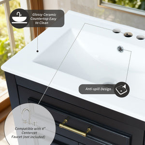 English Elm 24" Matte Single Sink Vanity Solid Poplar Frame Gold Hardware Soft Close Cabinet Black N710P389449B