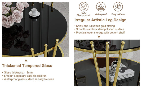 English Elm 19.69inch Gold Round Coffee Table with Crown Frame, 8mm Tempered Glass, Stainless Steel Base, Chic Storage Black W1550P171469