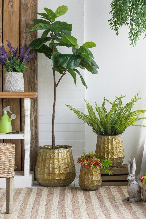 English Elm Set of 3 Distressed Zinc Metal Planters with Aged Golden Finish for Farmhouse Decor W2078P499531