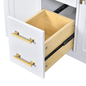 English Elm 72'' Modern Bathroom Vanity Set With Ceramic Sink, Solid Wood Frame, Ample Storage & Sleek Design N710SS00011K