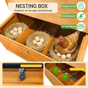 English Elm Chicken Coop Spruce Wood Double House for 8 Birds with Nesting Boxes Flip Roof W3166P506394