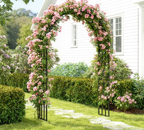 English Elm Garden Steel Arch Arbor with Powder Coated Frame for Climbing Roses and Vines T3971P422187