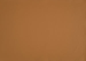 English Elm Leather Slipper Chair Top Grain Leather Upholstered Accent Seat High-Density Foam Durable Comfort Orange 29.5 L x 33.5 W x 26.75 H B011P315632