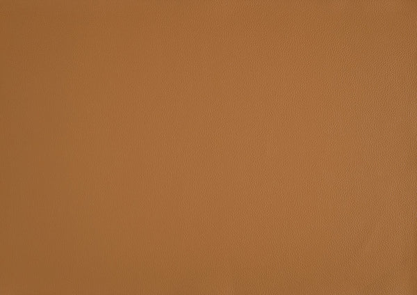 English Elm Leather Slipper Chair Top Grain Leather Upholstered Accent Seat High-Density Foam Durable Comfort Orange 29.5 L x 33.5 W x 26.75 H B011P315632