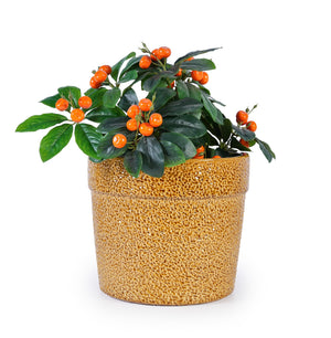 English Elm Handmade Ceramic Planter Trio Artisan Speckled Earth Tones for Indoor Plants Shelves W3273P321469