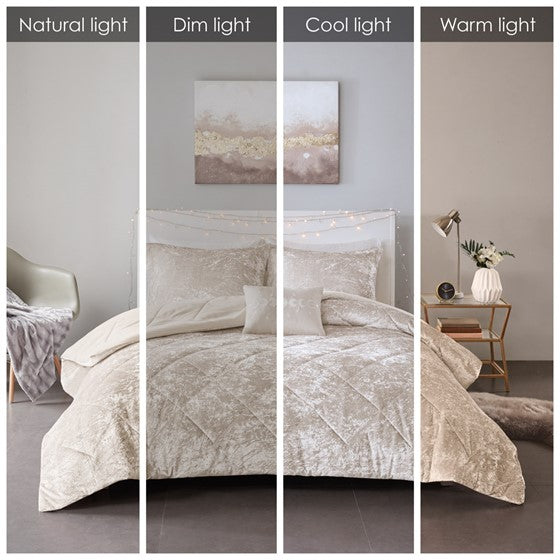 English Elm Full/Queen Plush Velvet Comforter Set with Decorative Embroidered Pillow, Shams & Cozy Fill - Luxurious Soft Touch B035P203252