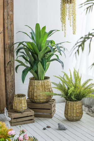 English Elm Set of 3 Distressed Zinc Metal Planters with Aged Golden Finish for Farmhouse Decor W2078P499531