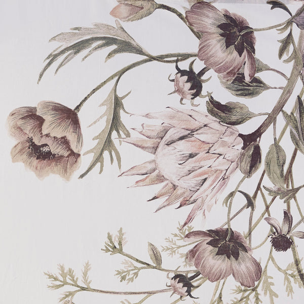 JLA Home Madison Park - Printed Cotton Shower Curtain with Vintage Floral Percale, OEKO-TEX Certified, Soft Romantic Draped 72x72 Blush MP70-6717