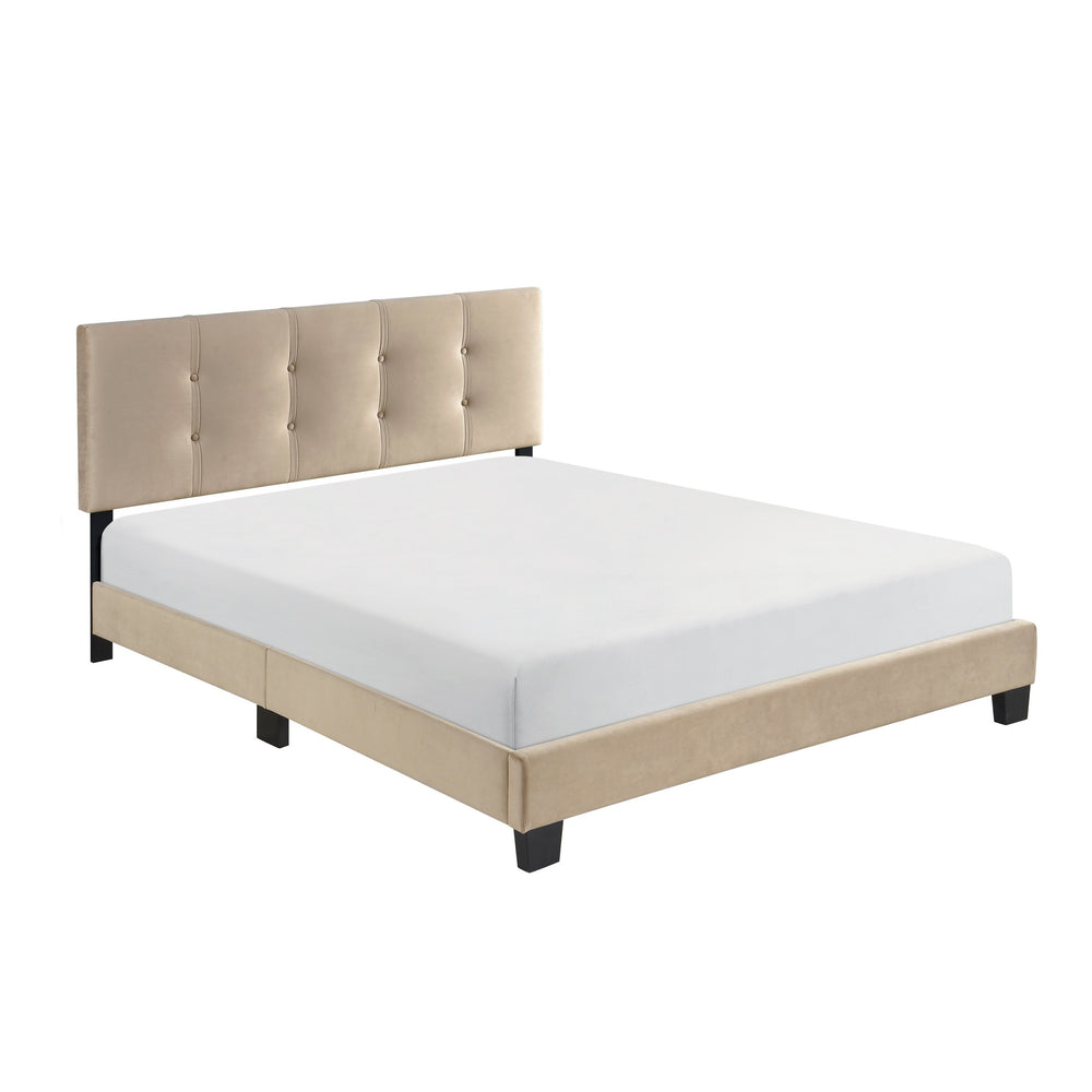 English Elm 1pc Queen Platform Bed Brown Velvet Upholstered with Button Tufted Adjustable Headboard, Low-Profile Solid Wood Frame 42" H Light Brown 65.5 L x 26 W x 5 H B011P203573