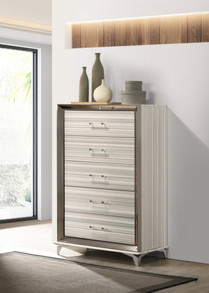 English Elm STAR Modern Chest with Built-In LED, Polished Chrome Accents, Acrylic Handles & Spacious Storage White 5.24 L x 74.8 W x 44.29 H B201P226358