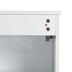 English Elm 20" Freestanding Vanity with Ceramic Sink Soft Close Storage Glossy White Bath W999S00386
