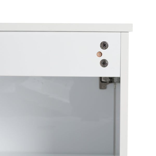 English Elm 20" Freestanding Vanity with Ceramic Sink Soft Close Storage Glossy White Bath W999S00386