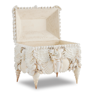 Boardwalk Exquisite Victorian Shell Jewelry Box with Handmade Coastal Design for Elegant Storage
