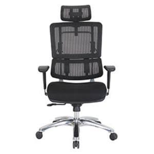 OSP Home Furnishings Vertical Mesh Back Ergonomic Office Chair with Headrest and Adjustable Lumbar Support 99662CHRB-30
